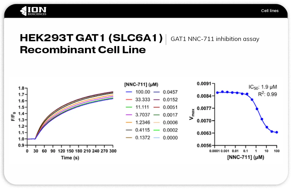graphs showing inhibition of GAT1 by NNC-711 using SLC transporter assay