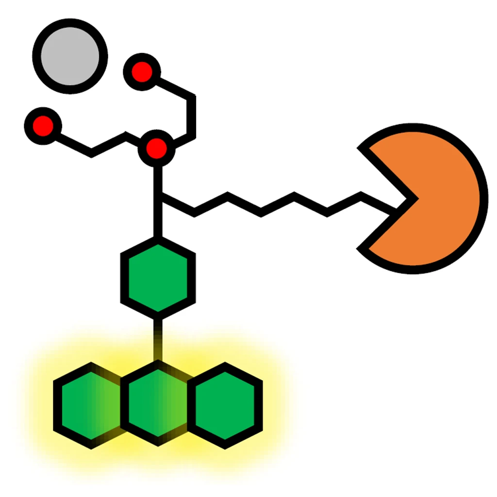 Illustration of ION Thallos-HTL, a conjugatable ion indicator, coupled to HaloTag enzyme.