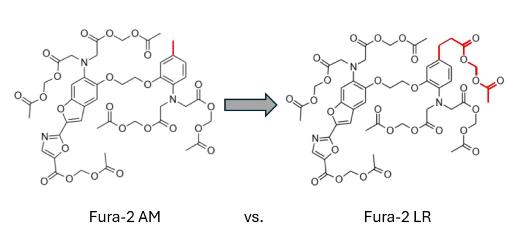 The ratiometric calcium indicator Fura-2 AM, shown as Fura-2 LR.