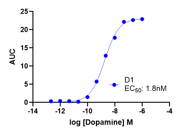 Dose response curve for a D1 dopamine receptor agonist assay using cAMP as a readout.