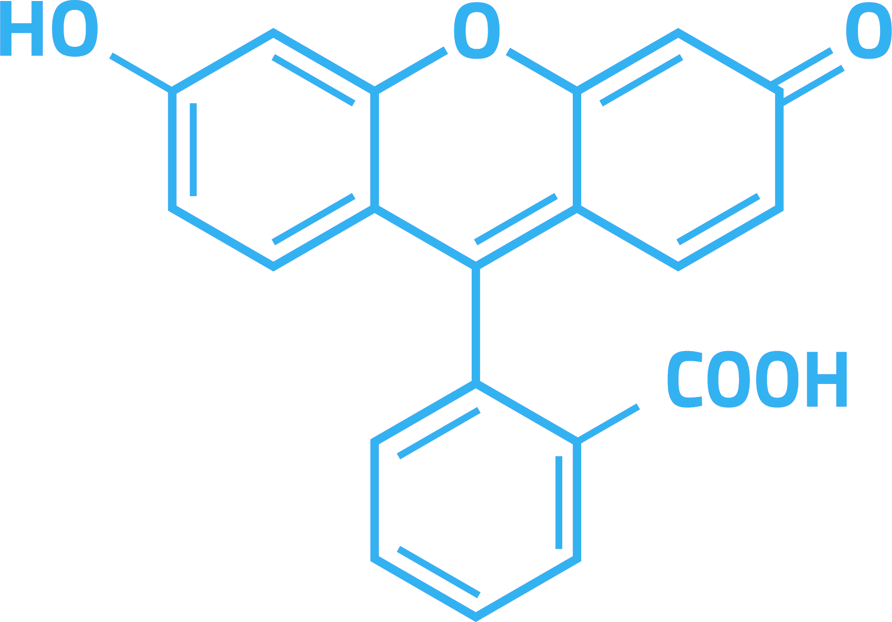 Fluorescein molecule