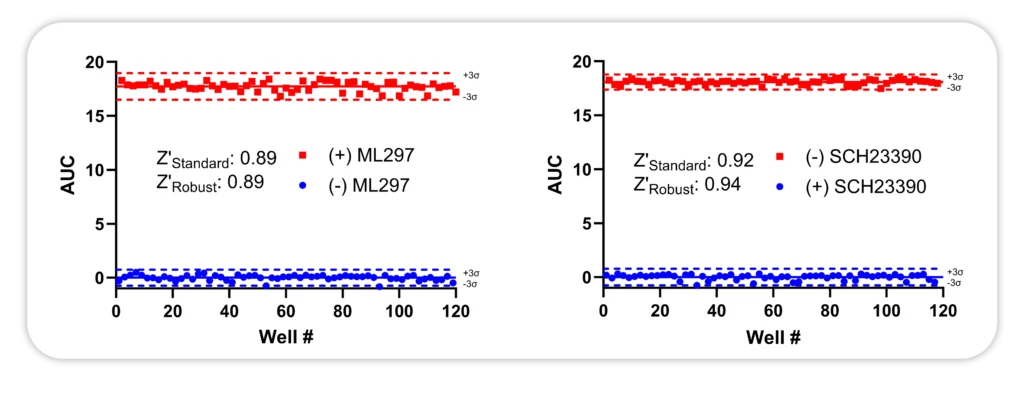 GIRK potassium channel assay displays high Z’ values for hit identification in activator and inhibitor screening modes