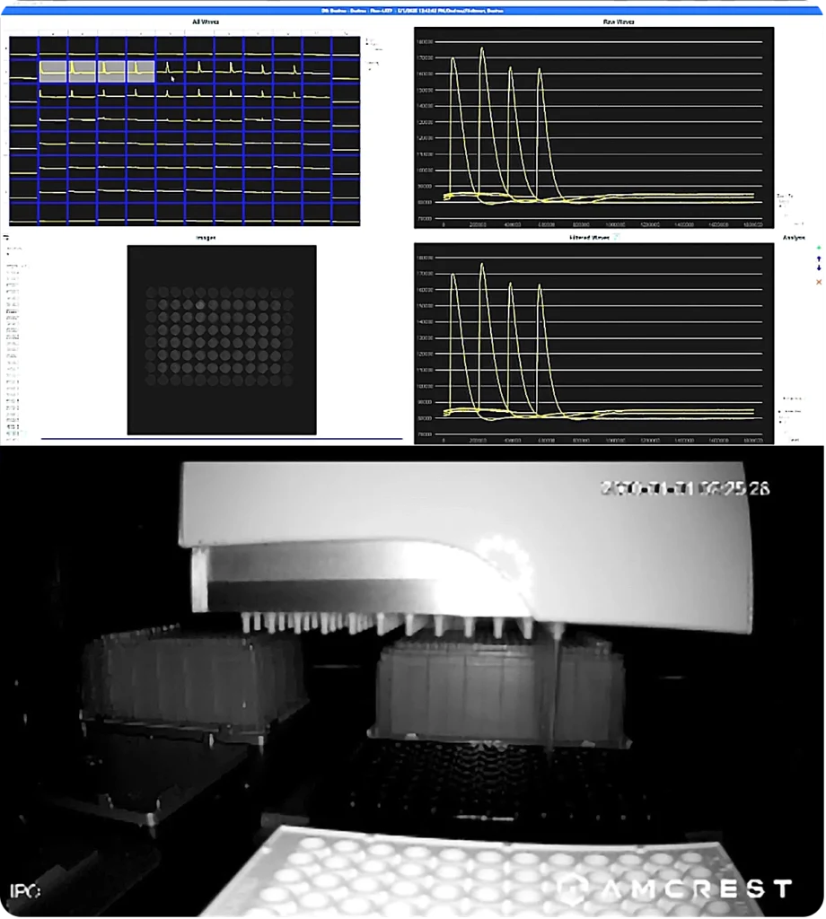 Look inside our high throughput screening instrument