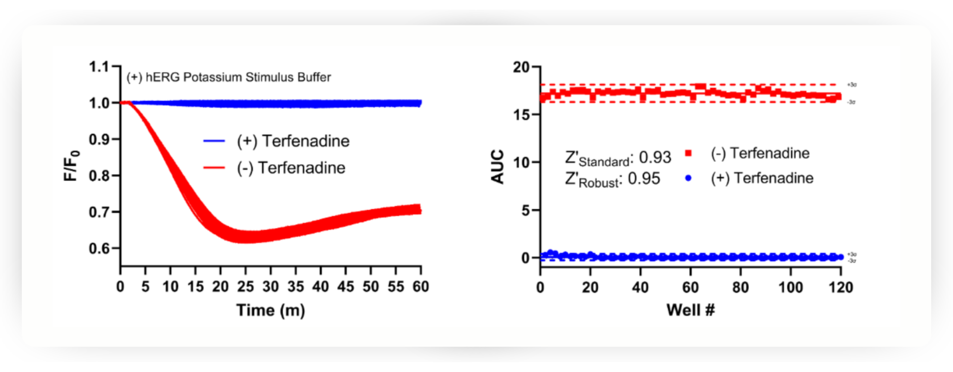 Graphs showing kinetic traces of hERG expressing cells treated with or without terfenadine, and corresponding Z' calculation in a 384-well format.