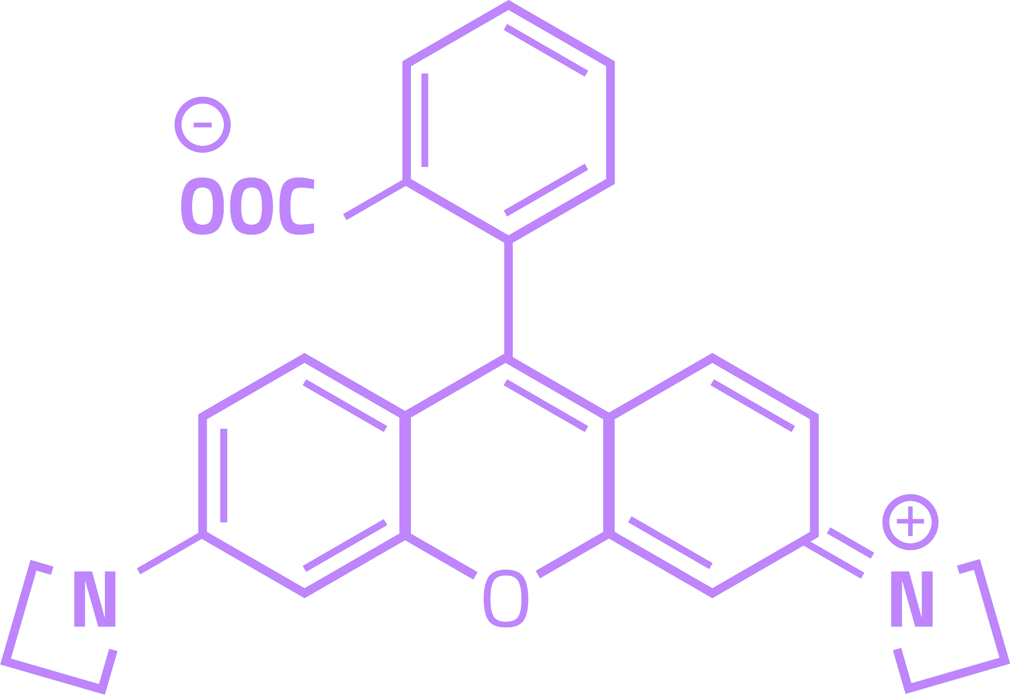 Janelia Fluor molecule