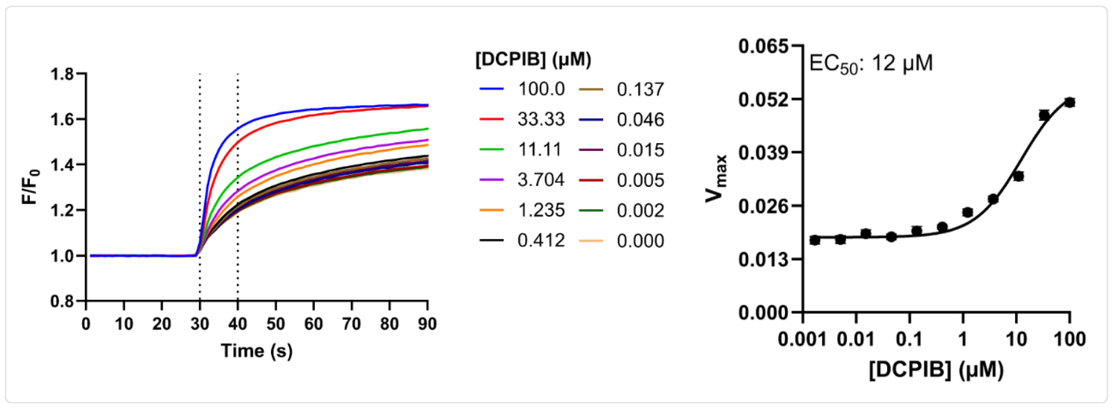 Lysosomal TMEM175 potentiator assay results displaying kinetic traces and a corresponding dose response curve of DCPIB that usesour organellar ion channel assay platform.