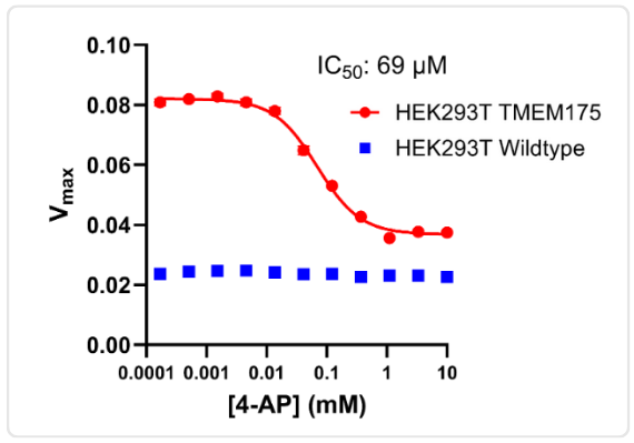 Lysosomal TMEM175 inhibition assay results displaying a dose response curve of 4-AP that uses our organellar ion channel assay platform.