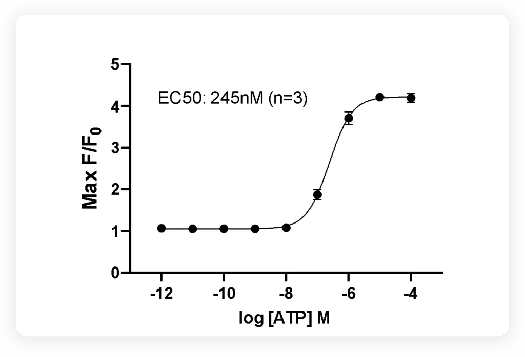 Calcium assay on the ligand gated calcium channel (P2X7r) endogenously expressed in CHO-K1 cells. Dose response to ATP and corresponding EC50 are displayed.