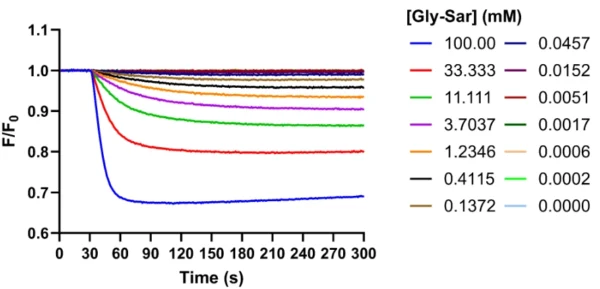PepT1 (SLC15A1) assay using an intracellular pH sensor to measure proton symport associated with substrate transport. Kinetic traces display a dose-dependent response to Gly-Sar, a known substrate for the SLC15 family of Solute carrier transporters.