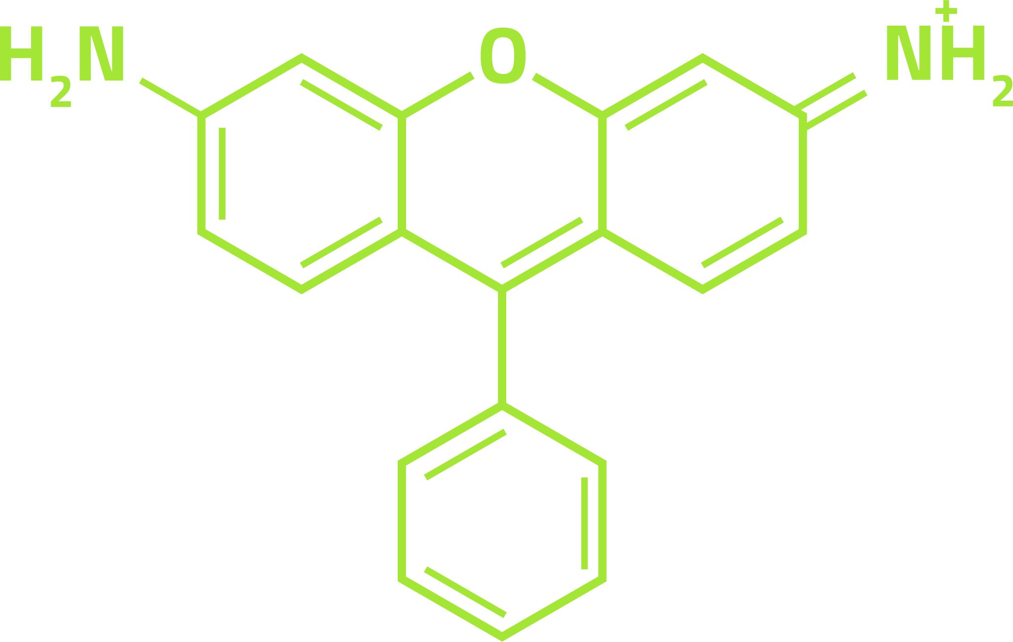 Rhodamine molecule