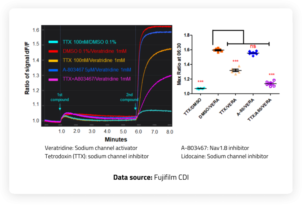 Kinetic traces of iPSC derived sensory neurons treated with Nav inhibitors and activators. TTX-resistant and TTX-sensitive sodium channel activity is measured using Brilliant Sodium.