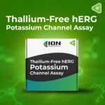 Thallium-free hERG Potassium Channel Assay