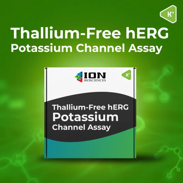 Thallium-free hERG Potassium Channel Assay