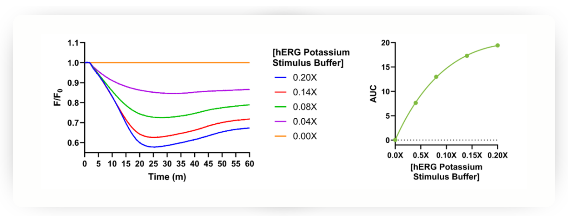 Graphs showing kinetic traces of IPG-1 fluorescence in hERG expressing cells after treatment with various concentrations of a depolarizing stimulus solution.