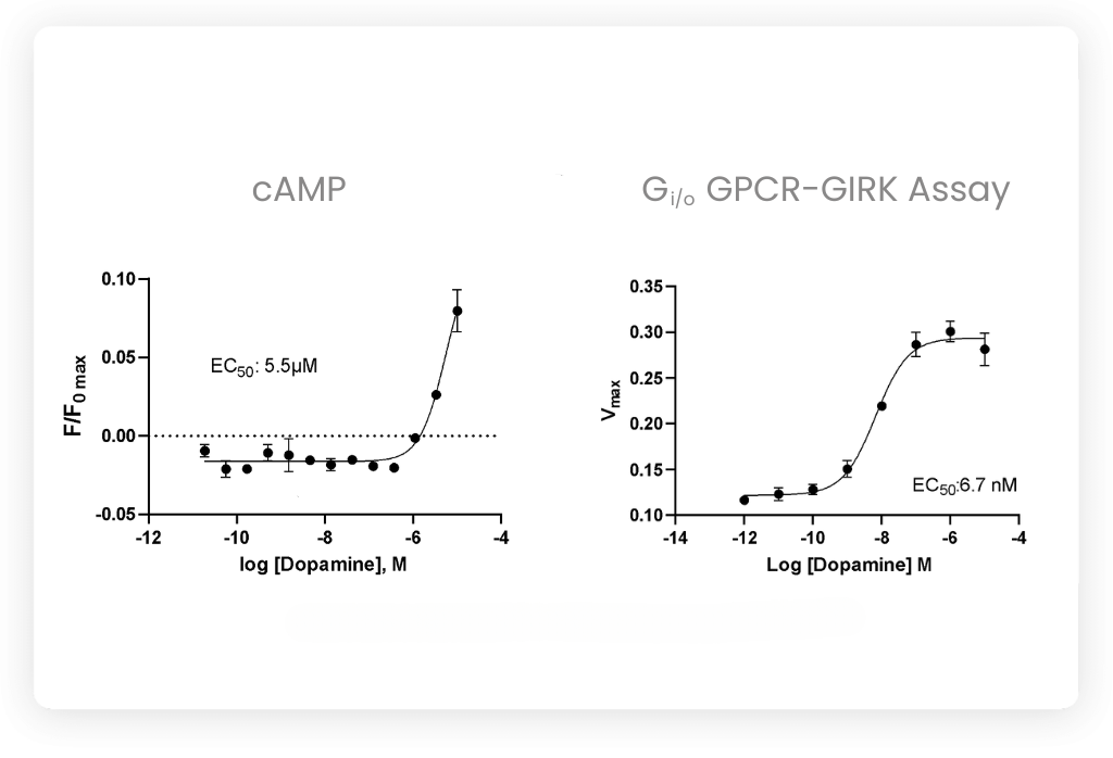 Two dose-response plots showing dopamine effects on dopamine D2 receptors. The left graph shows cAMP response with an EC50 of 5.5 µM. The right graph displays GPCR-GIRK assay results with an EC50 of 6.7 nM. Both graphs plot response intensity against log dopamine concentration.