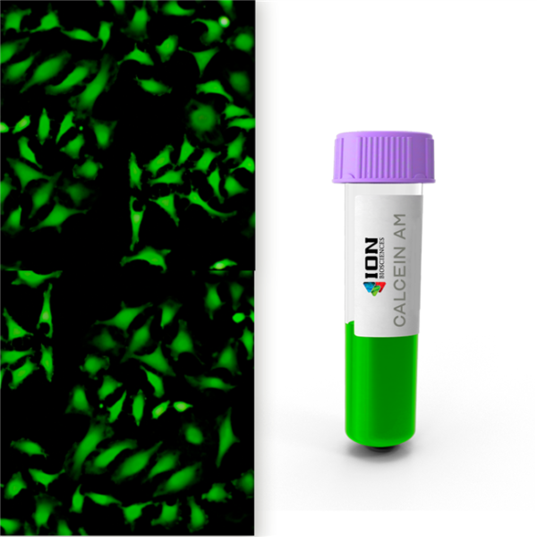 Fluorescence image of calcein AM stained cells next to product vial.