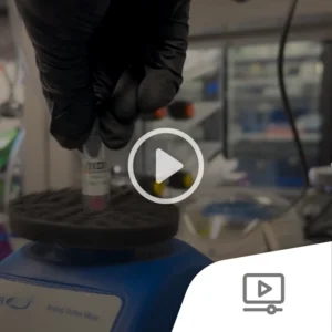 Video screenshot of dissolving dyes in DMSO_2