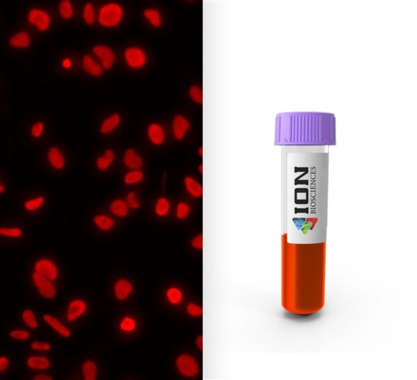 Fluorescence image of dead cells whose nuclei are stained red by ethidium homodimer next to product vial