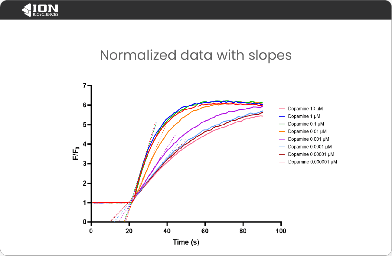 Displayed Vmax values (slopes) for thallium flux kinetic data for different drug concentrations.