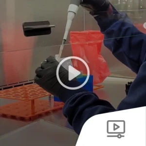 Screenshot for sodium channel assay how-to prepare cells