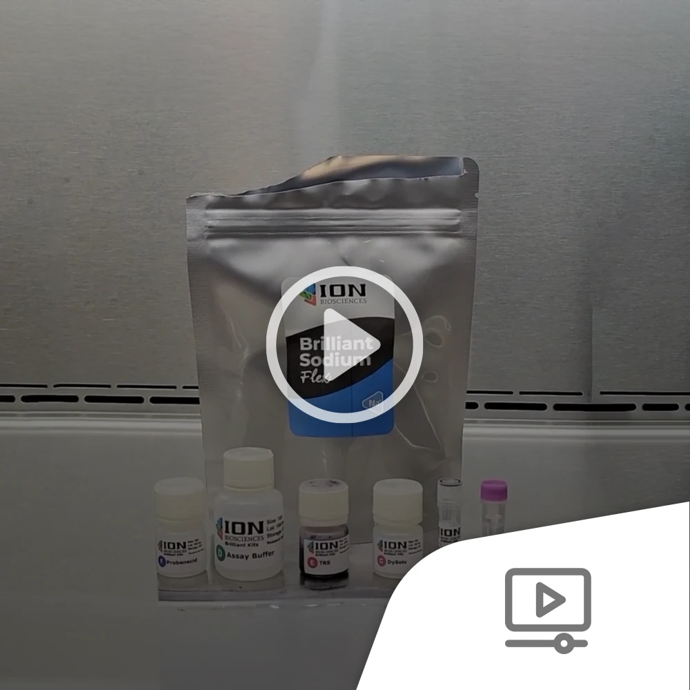 Screenshot for sodium channel assay how-to video