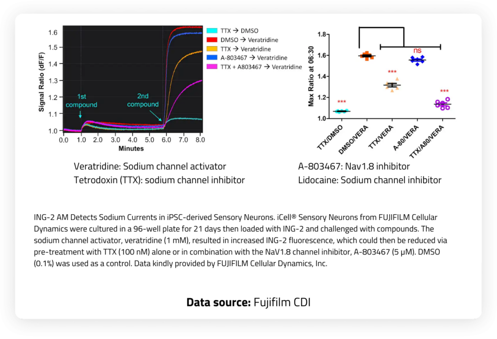 Kinetic traces of iPSC derived sensory neurons treated with Nav inhibitors and activators. TTX-resistant and TTX-sensitive sodium channel activity is measured using Brilliant Sodium.