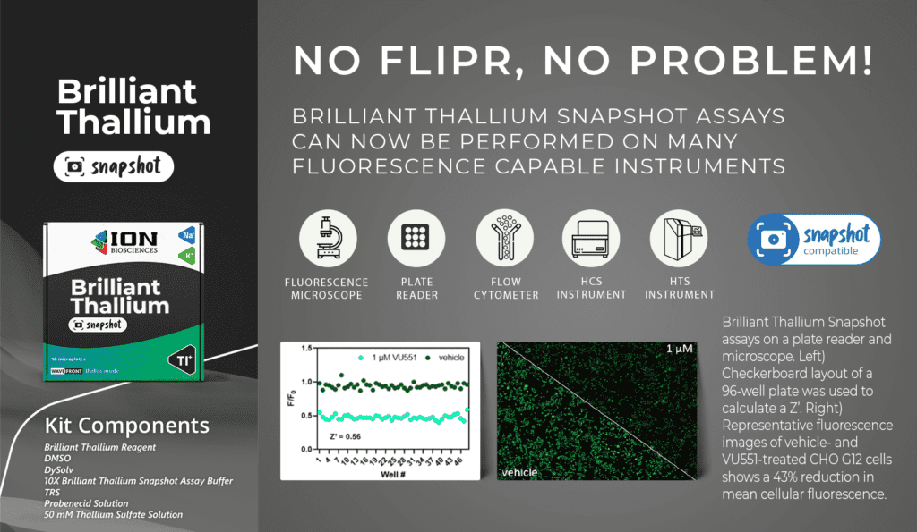 Using Brilliant Thallium Snapshot in a high-throughput assay with a plate reader or fluorescence microscope enables discovery of potassium channel activators in an endpoint assay.