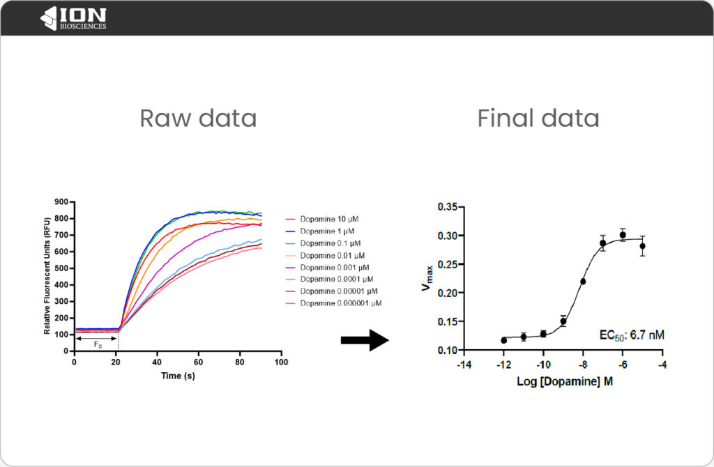 Image displaying raw thallium flux assay data next to a summarized dose response curve