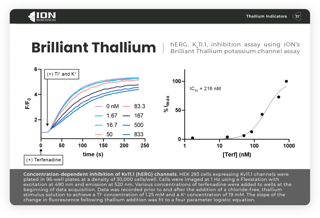 Brilliant thallium flux assay used for voltage-gated potassium channels. Data show fluorescence kinetic profiles and corresponding dose response curve of hERG channel inhibition.